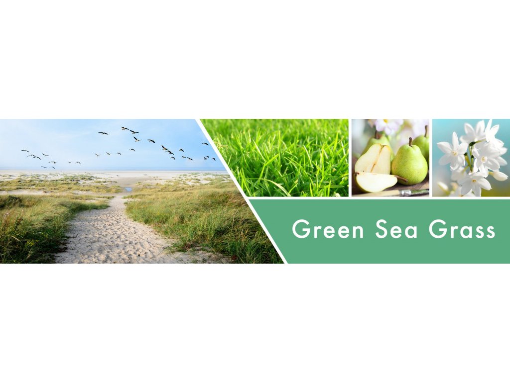 Goose Creek Candle - vonná svíčka Green Seagrass 411 g
