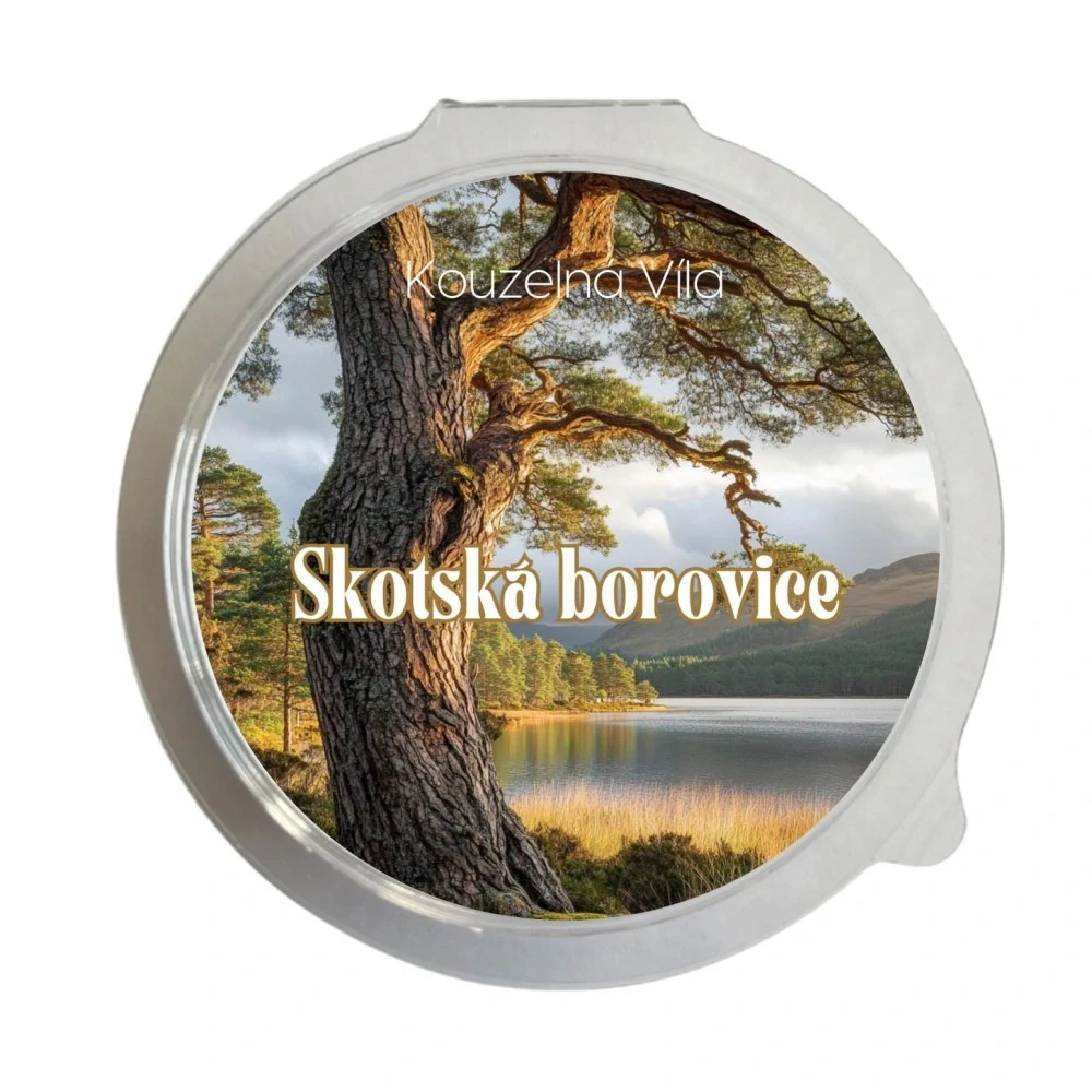 Kouzelná Víla, sojový vosk - Skotská borovice 20 g