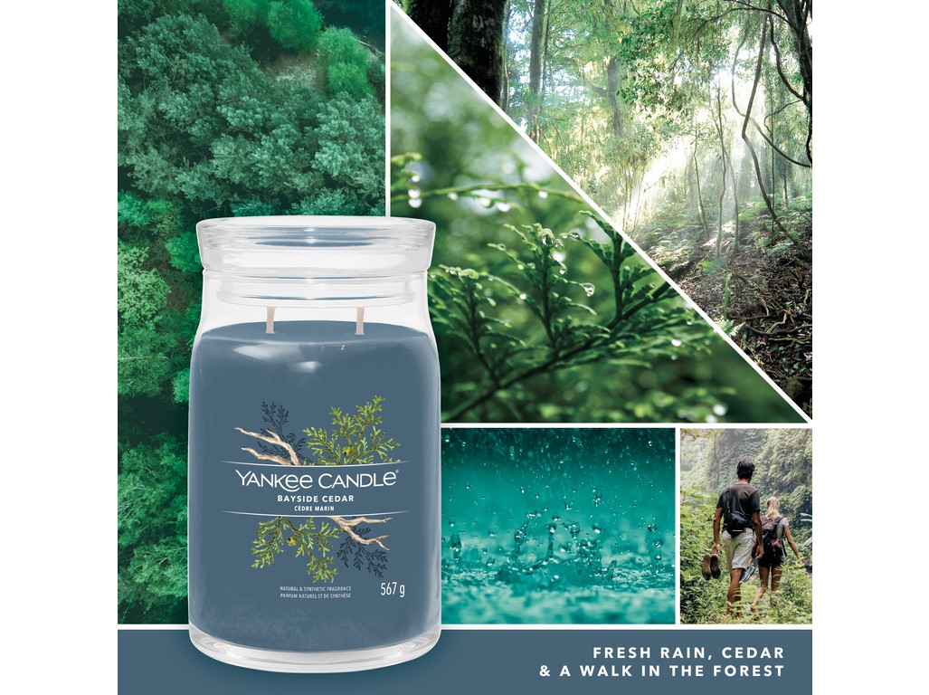 Yankee candle, vonná svíčka Signature Bayside Cedar 567 g