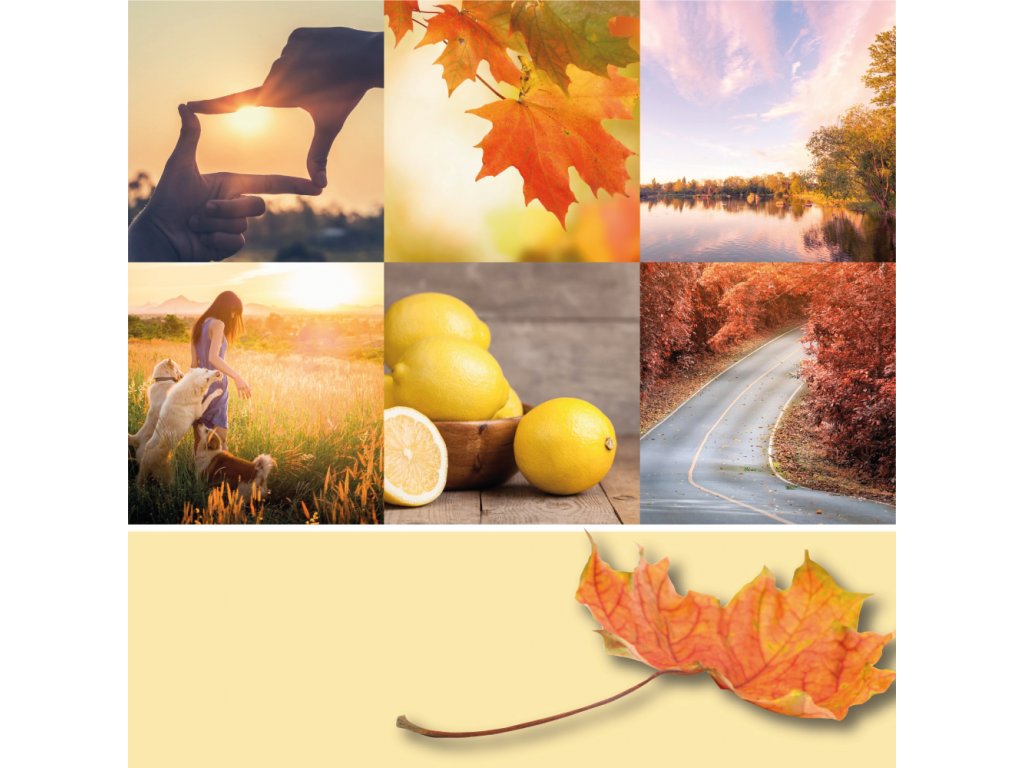 Yankee candle, vonná svíčka Signature Tumbler Autumn Sunset 567 g
