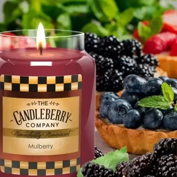 Candleberry - vonná svíčka Mulberry 624 g