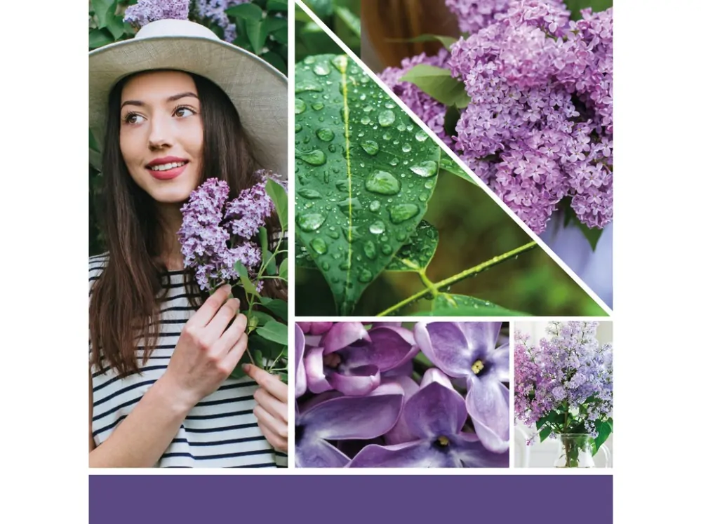 Yankee candle, vonná svíčka Signature Lilac Blossoms 567 g