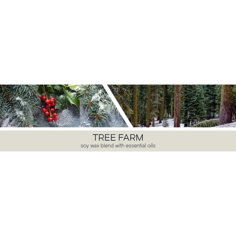 Goose Creek Candle - vonný vosk Tree Farm 59 g