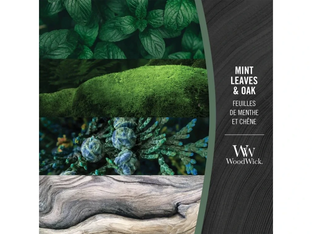 WoodWick svíčka loď Mint Leaves & Oak (Mátové lístky a dub) 453 g