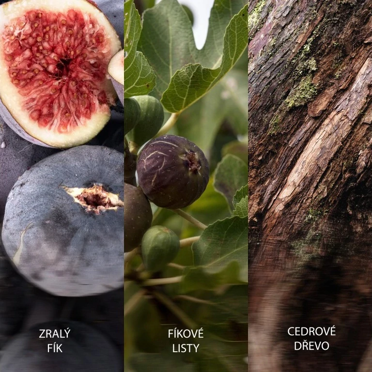 WoodWick vonná svíčka loď Verdant Fig 453 g