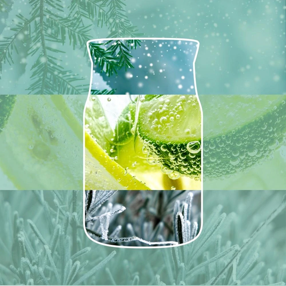 Yankee Candle Signature velká vonná svíčka Tree Trimming 567 g