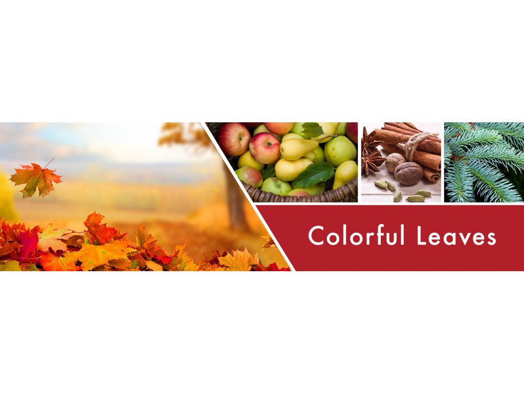 Goose Creek Candle - vonná svíčka Colorful Leaves 411 g