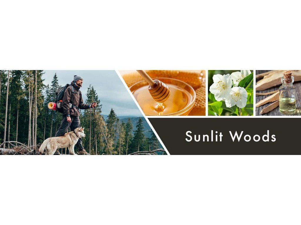 Goose Creek Candle - vonná svíčka Sunlit Woods 411 g
