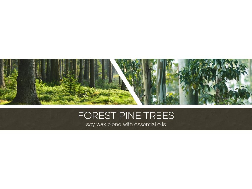 Goose Creek Candle - vonná svíčka Forest Pine Trees 411 g