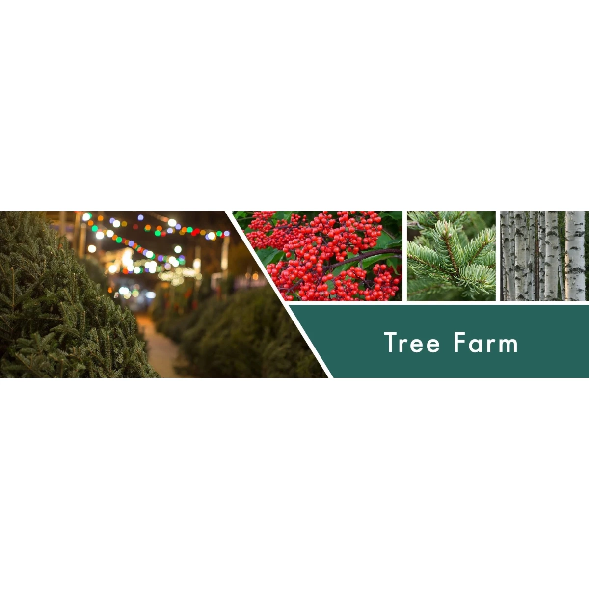 Goose Creek Candle - vonná svíčka Tree Farm 411 g