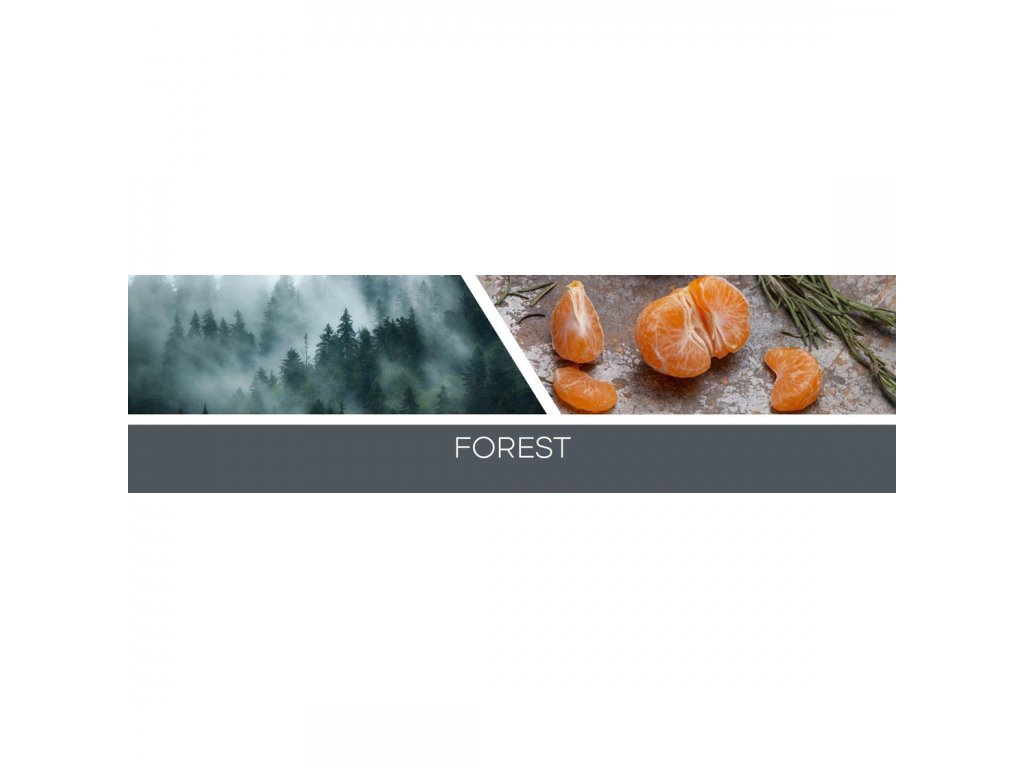Goose Creek Candle - vonný vosk Forest 59 g