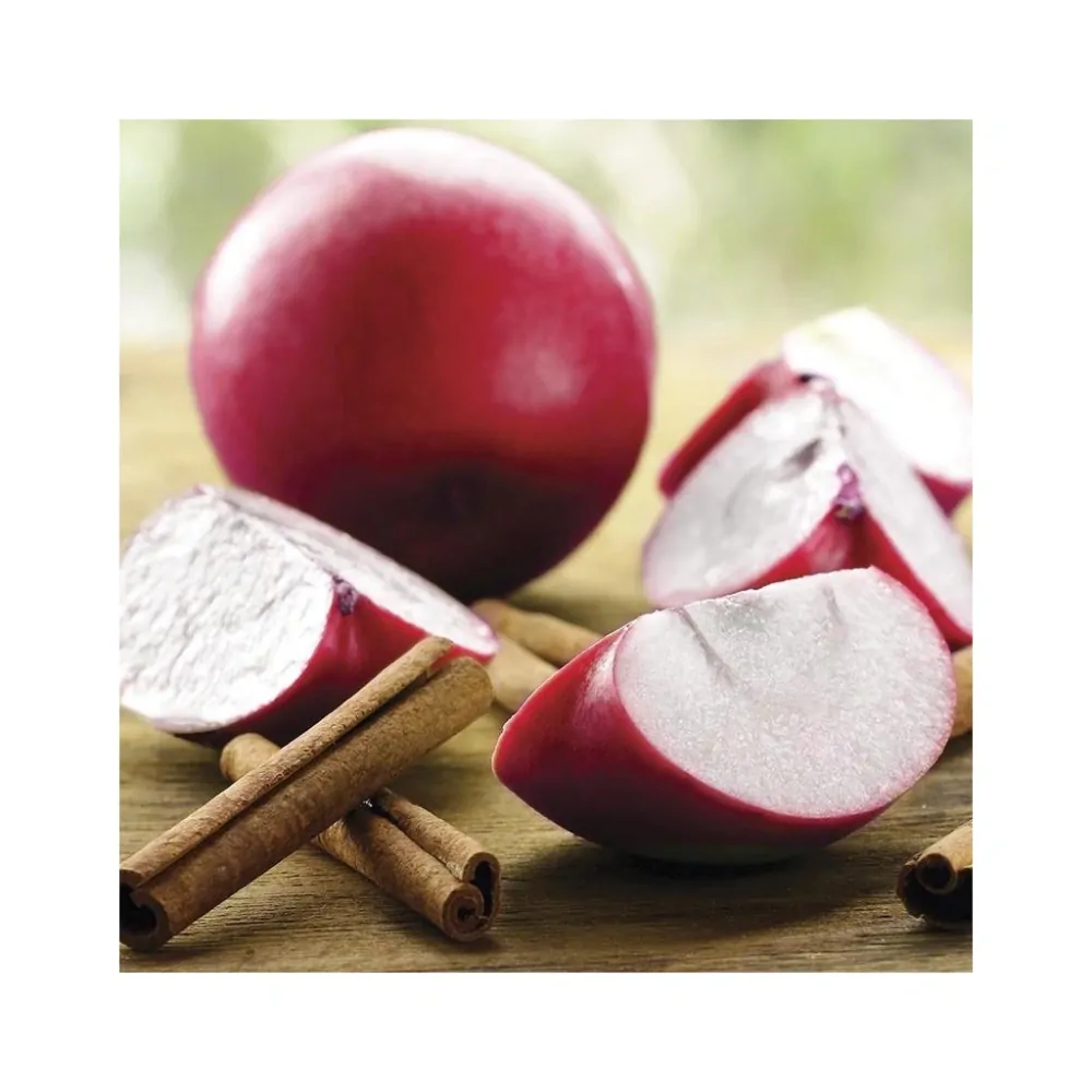 Village Candle - vonná svíčka Apples & Cinnamon (Jablko a skořice) 602 g