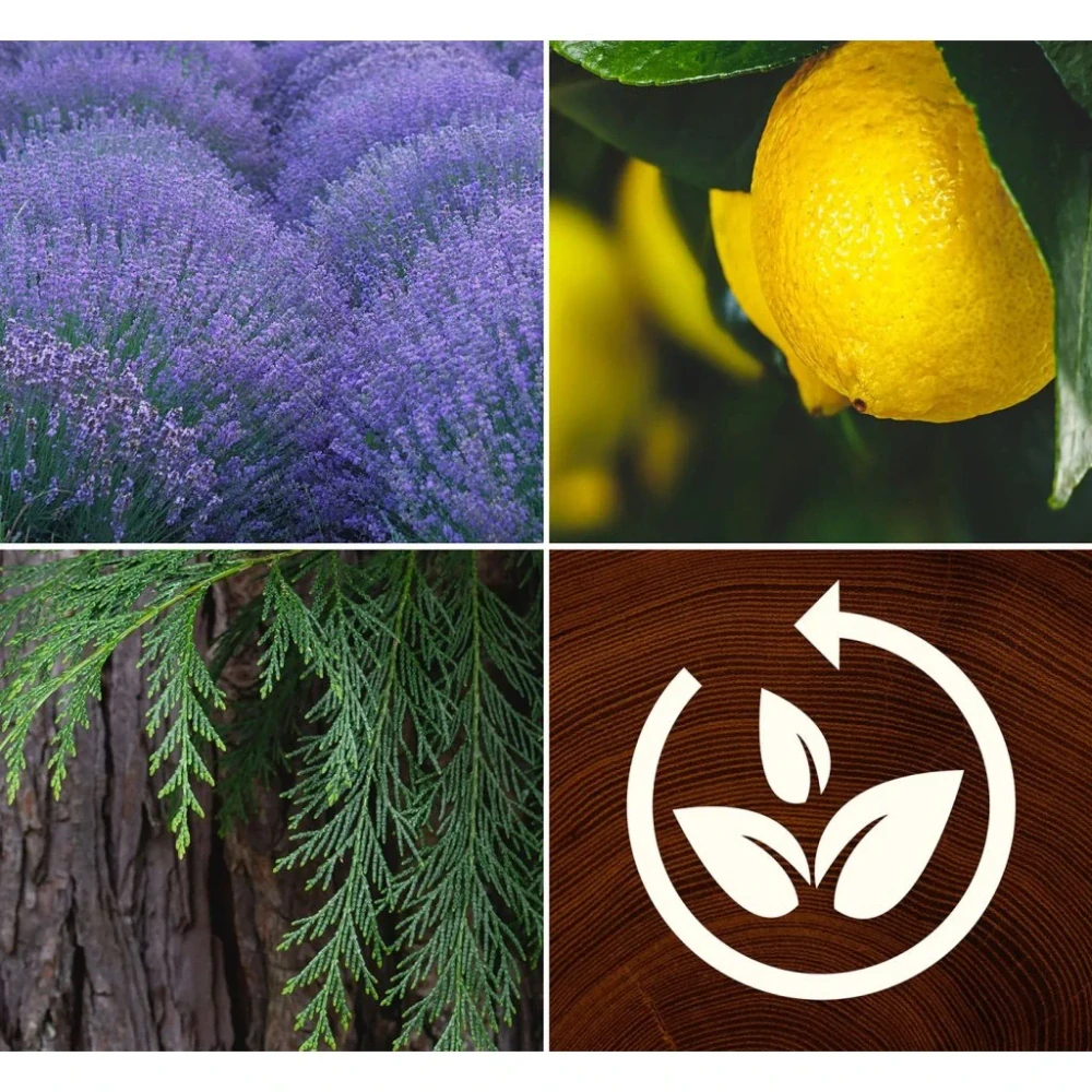 WoodWick, ReNew svíčka Lavender & Cypress (Levandule a cypřiš) 368 g