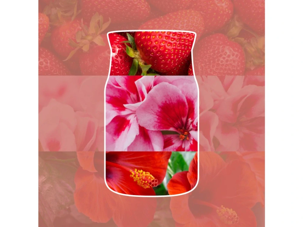Yankee Candle Signature velká vonná svíčka Cliffside Sunrise 567 g
