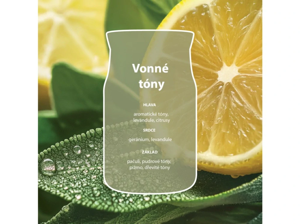 Yankee Candle Signature velká vonná svíčka Sage & Citrus 567 g