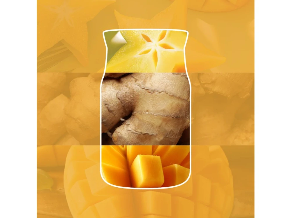 Yankee Candle, vůně do auta papírová visačka Starfruit & Sunshine