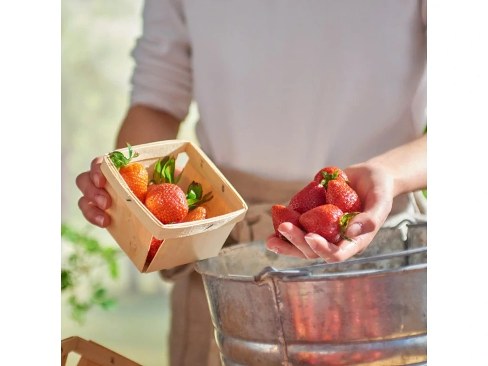 Village Candle - vonná svíčka Fresh Strawberries (Čerstvé jahody) 602 g