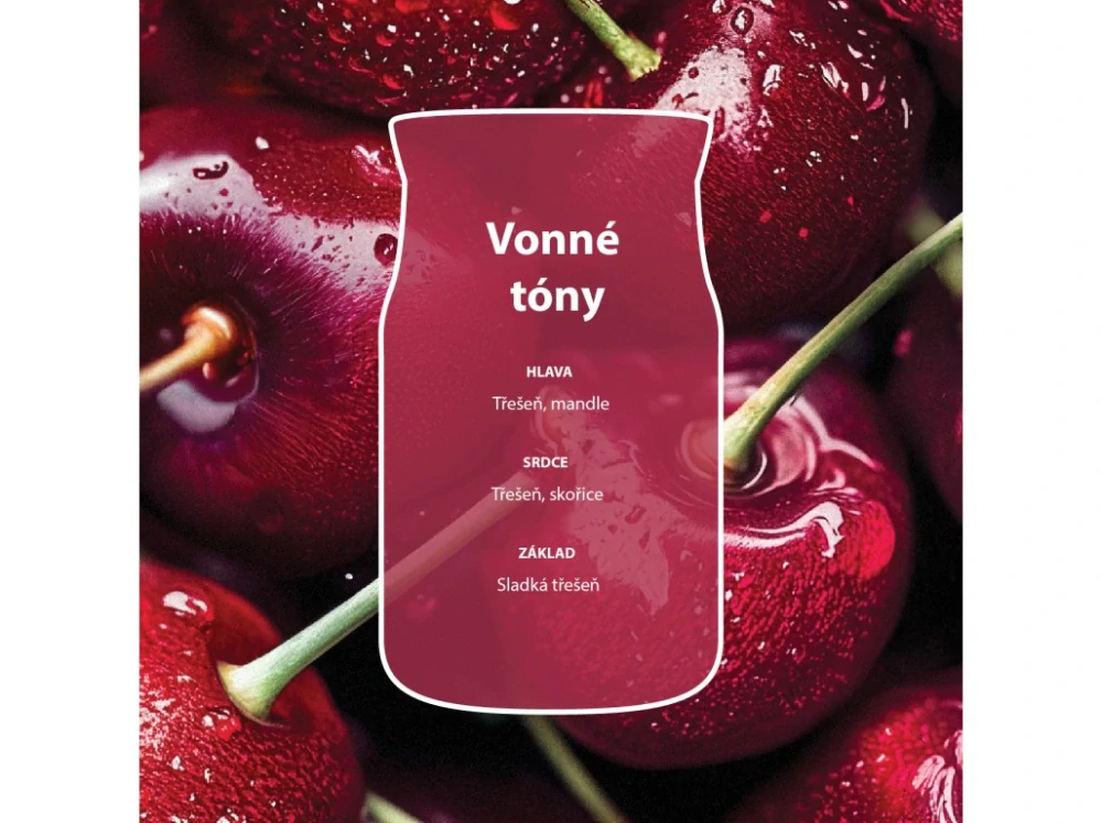 Yankee Candle Signature velká vonná svíčka Black Cherry 567 g