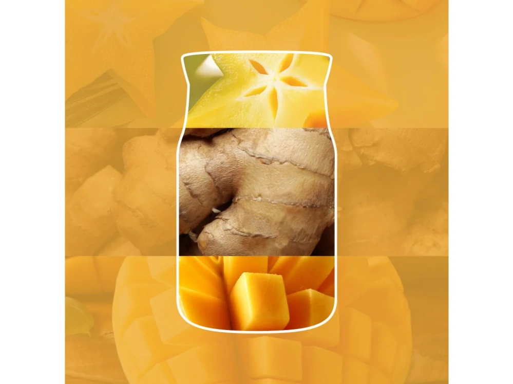 Yankee Candle Signature velká vonná svíčka Starfruit & Sunshine 567 g