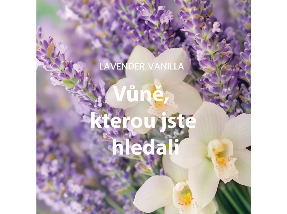 Yankee Candle Signature velká vonná svíčka Lavender Vanilla 567 g