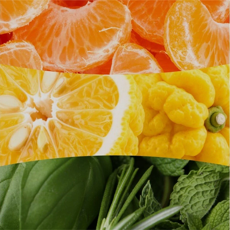 WoodWick vonná svíčka velká váza Tangerine & Citron 609 g
