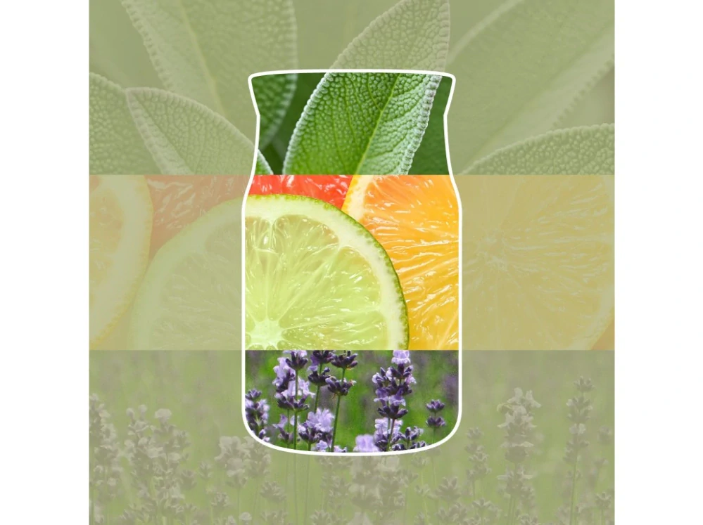 Yankee Candle Signature velká vonná svíčka Sage & Citrus 567 g