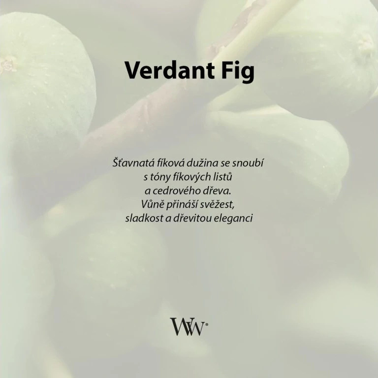 WoodWick vonná svíčka loď Verdant Fig 453 g