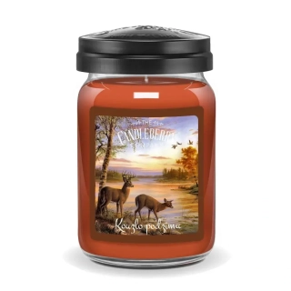 Candleberry - vonná svíčka Kouzlo podzimu 624 g