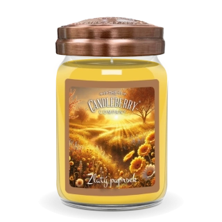 Candleberry - vonná svíčka Zlatý paprsek 624 g