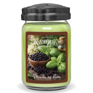 Candleberry - vonná svíčka Příroda na dlani 624 g