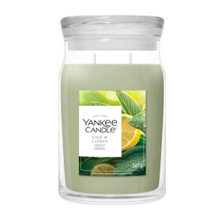 Yankee Candle Signature velká vonná svíčka Sage & Citrus 567 g