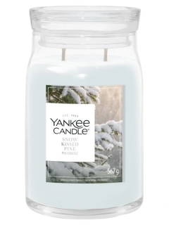 Yankee Candle Signature velká vonná svíčka Snow Kissed Pine 567 g