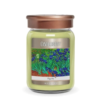 Candleberry, NOUVEAU - Fig Iris 624 g